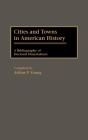 Cities And Towns In American History - Preview
