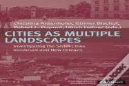 Cities As Multiple Landscapes