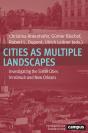 Cities As Multiple Landscapes - Preview