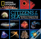 Capa do artigo Citizens Of The Sea