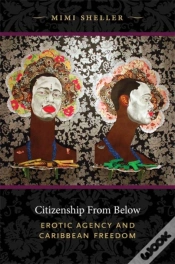 Capa do artigo Citizenship From Below