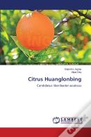 Citrus Huanglonbing