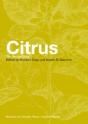Citrus - Preview