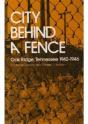 City Behind Fence - Preview