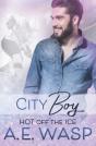 City Boy - Preview