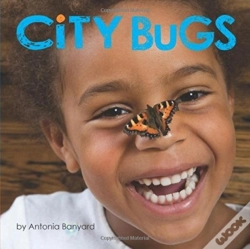 Capa do artigo City Bugs