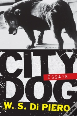 Capa do artigo City Dog