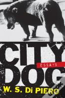 City Dog