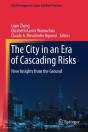 City In An Era Of Cascading Risks - Preview