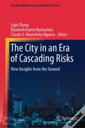 Capa do artigo City In An Era Of Cascading Risks