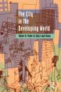 City In The Developing World - Preview