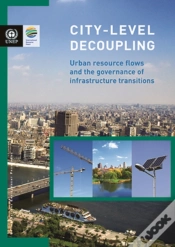 Capa do artigo City-Level Decoupling