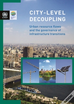 Capa do artigo City-Level Decoupling