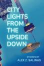City Lights From The Upside Down - Preview