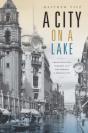 City On A Lake - Preview