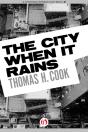 City When It Rains - Preview