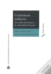 Capa do artigo Ciudadanía Indígena. Del Multiculturalismo A La Colonialidad Del Poder