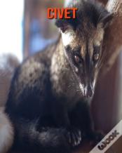Civet
