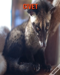 Capa do artigo Civet