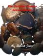 Civil War Canteen : Second Edition - Preview