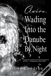 Claire, Wading Into The Danube By Night