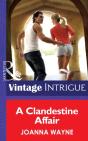 Clandestine Affair - Preview