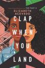 Clap When You Land - Preview