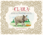 Clara - Preview