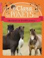 Clara Et Les Poneys Tome 3 ; Shetland Ou Double Poney ? - Preview