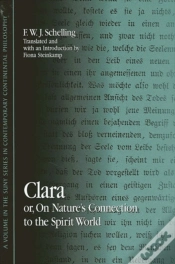 Capa do artigo Clara