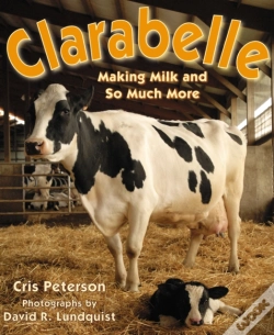 Capa do artigo Clarabelle