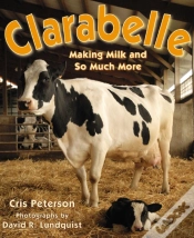 Capa do artigo Clarabelle