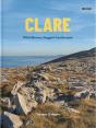 Clare - Preview