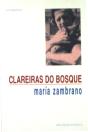 Clareiras do Bosque - Preview