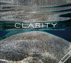 Capa do artigo Clarity