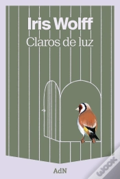 Capa do artigo Claros De Luz
