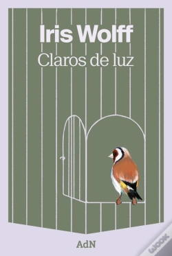 Capa do artigo Claros De Luz