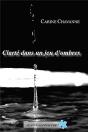 Clarte Dans Un Jeu D'Ombres - Preview