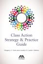 Class Action Strategy & Practice Guide - Preview