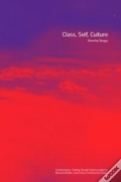 Capa do artigo Class, Self, Culture