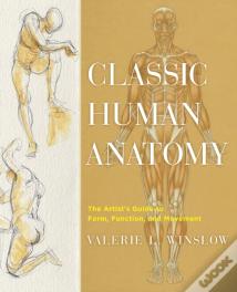 Classic Human Anatomy