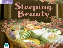 Classic Tales Second Edition: Level 4: Sleeping Beauty Audio Pack