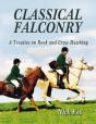 Classical Falconry - Preview