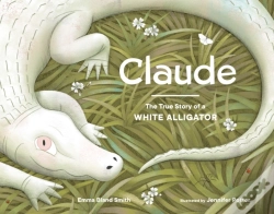 Capa do artigo Claude