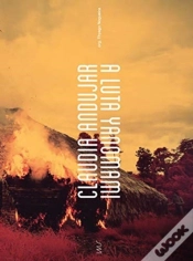 Capa do artigo Claudia Andujar, The Yanomami Struggle