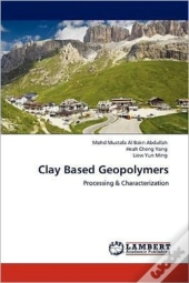 Clay Based Geopolymers