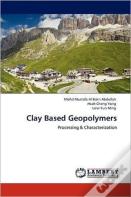 Clay Based Geopolymers