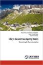 Clay Based Geopolymers - Preview
