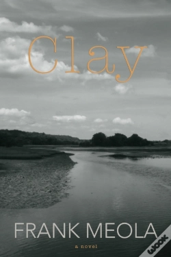 Capa do artigo Clay