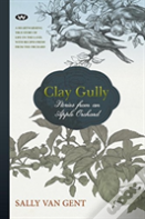 Clay Gully